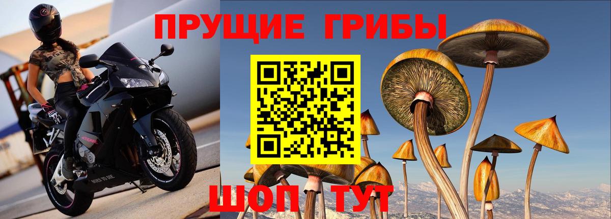 Галлюциногенные грибы MAGIC MUSHROOMS Сокол